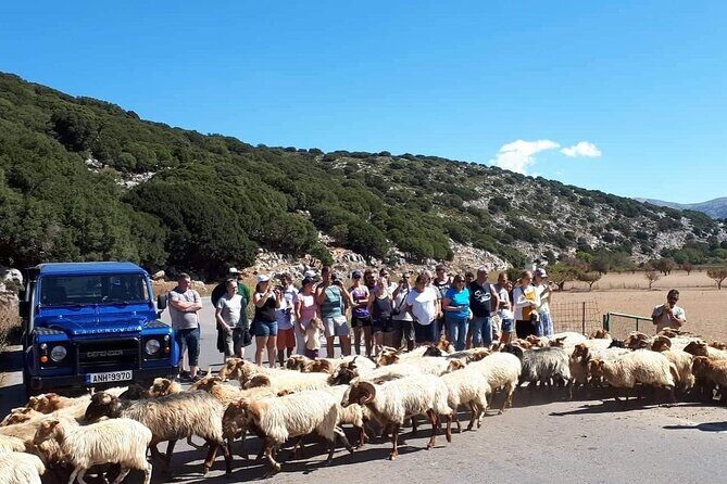 4x4 Safari tour Southern Crete Tripitis Gorge - Transportation & Group Size