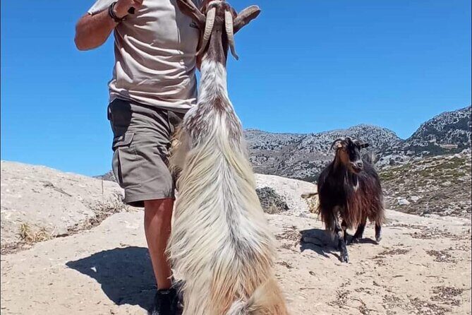 4x4 Safari tour Southern Crete Tripitis Gorge - FAQs