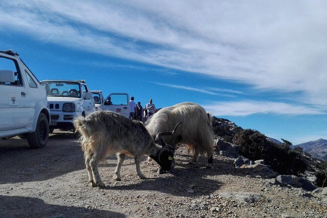 4x4 self drive adventure_Cretan mainland - An In-Depth Look at the Crete 4x4 Self-Drive Tour
