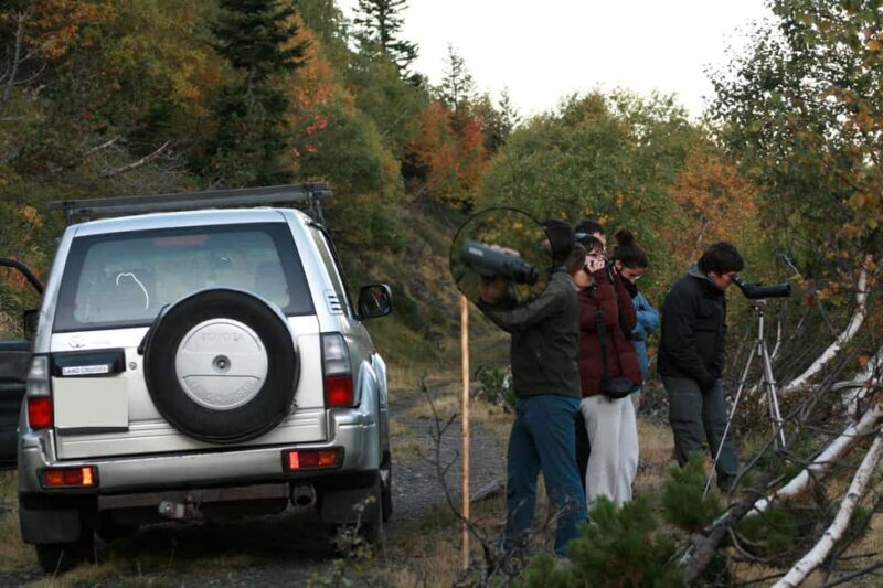 4×4 tour of the Aran Valley - Wildlife, flora and alpine landscapes - Key Points