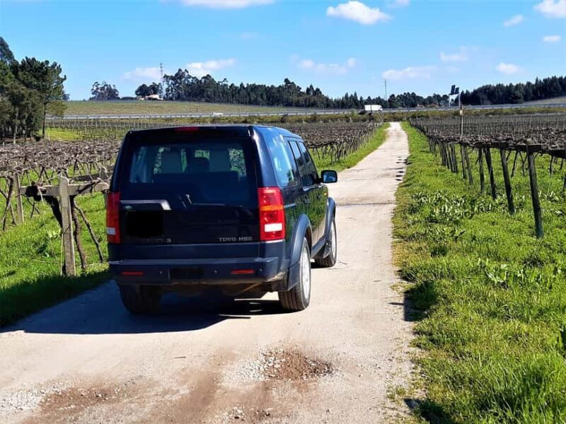 4x4 & Vinho Verde with transportation for the activity - An Authentic Journey Through Portugal’s Vineyards and Countryside