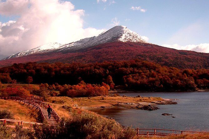 5.5-Hour Nat Park w/ Hiking *Shore Excursion* USHUAIA (Shared tour for cruises) - Key Points