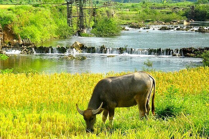 5, 6, 7 day Vietnam Itinerary | Charming | 2025 Northern Packages - Authenticity, Comfort, and Value