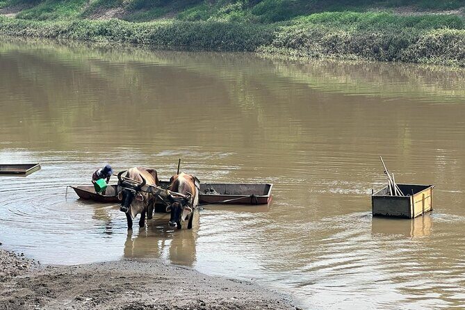 5 Activities in 1 Nature and Wildlife in Liberia - FAQ