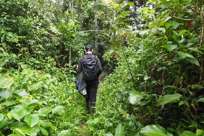 5 Day-4 Nights Extreme Private Amazon Experience - What Makes This Tour Stand Out?