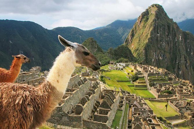 5-Day: ||All Included|| Excursion to Cusco, MachuPichu & Humantay Lake - Final Thoughts