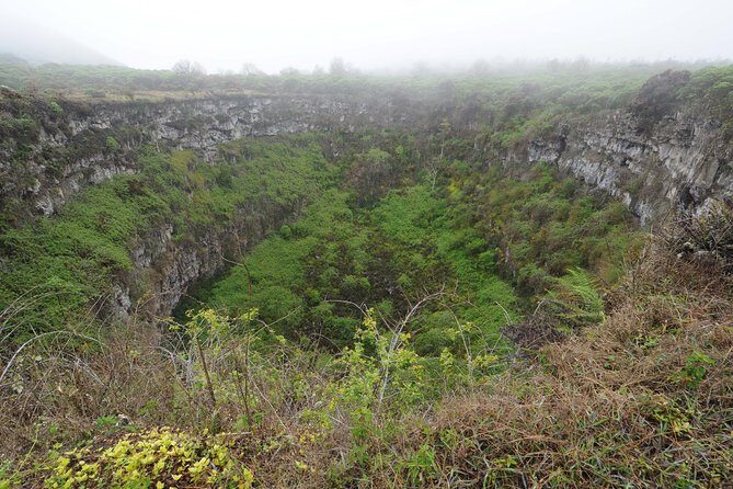 5-Day All-Inclusive Galapagos: Isabela and Santa Cruz Island - Who Should Consider This Tour?