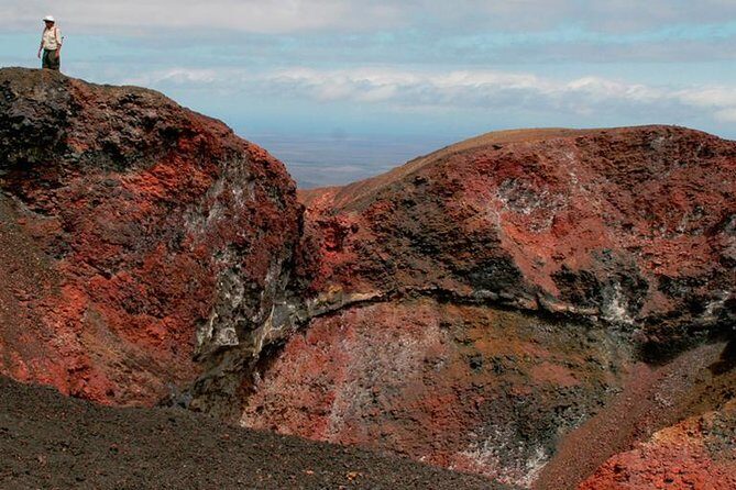 5-Day All-Inclusive Galapagos: Isabela and Santa Cruz Island - A Balanced View: The Strengths and Limitations