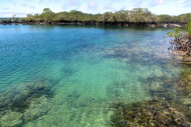 5-Day All-Inclusive Galapagos: Isabela and Santa Cruz Island - Final Thoughts: Is This Tour Right for You?