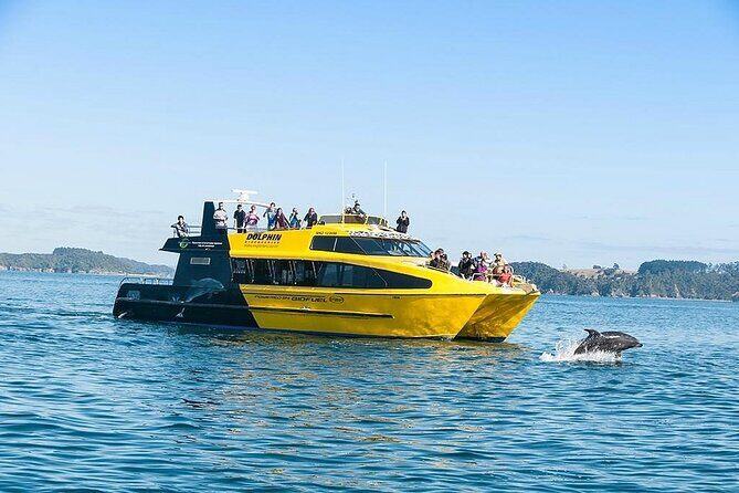 5-Day Bay of Islands, Auckland, Hobbiton, Rotorua & Waitomo Tour - Exploring the North Island: What You Can Expect
