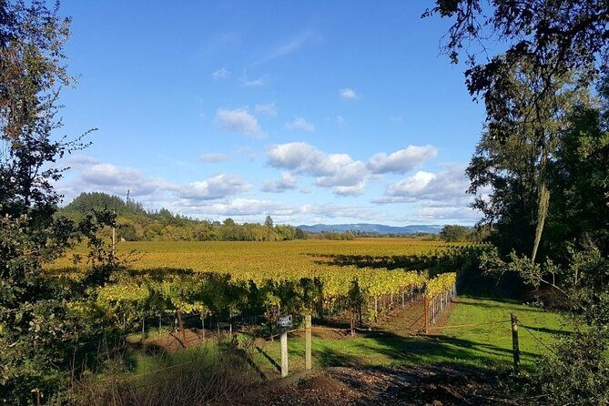 5 day California Vineyards, Waves and Wine small group tour - Final Thoughts