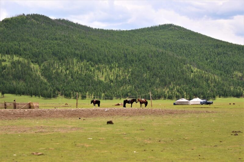 5 day Central Mongolia and Nomad stay tour - Final Thoughts