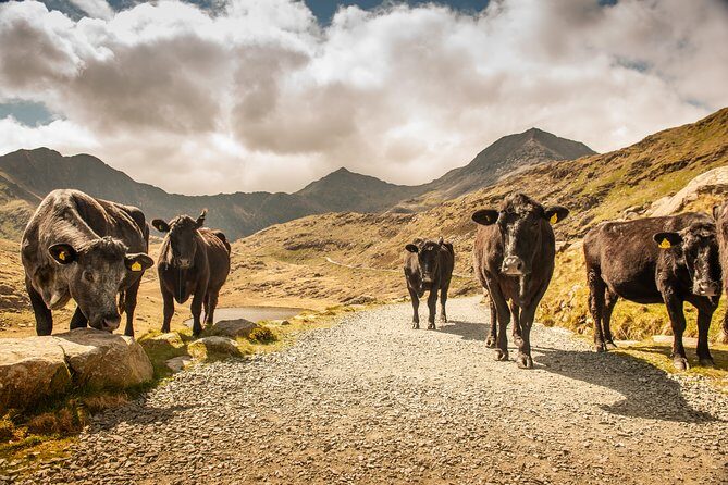 5-Day Discover Wales Small-Group Tour from London - Day 3: Coastal Charm and Dylan Thomas’ Wales