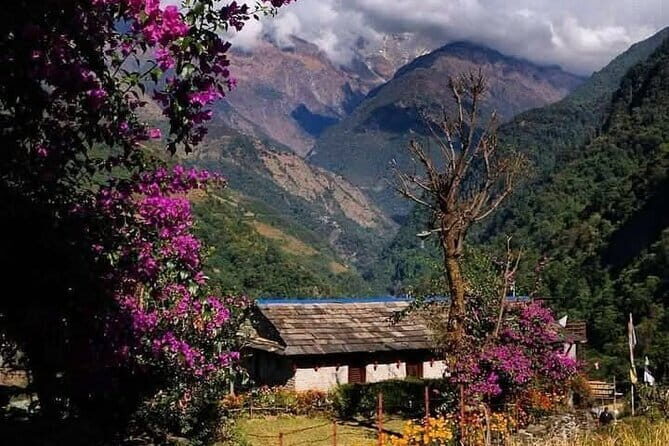 5 Day Easy Annapurna Base Camp Trek - Who Is This Trek Perfect For?