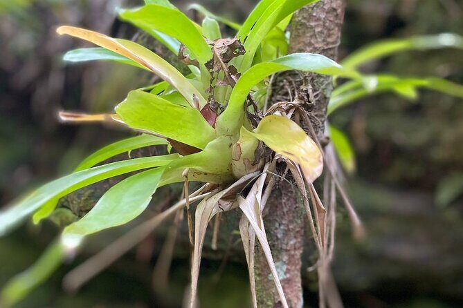 5-day experience to Vale do Pati and Chapada Diamantina - The Sum Up: Is This Tour Right for You?
