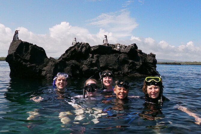 5-Day Galapagos Island Hopping Tour: Los Tuneles and Isabela - Overview and First Impressions