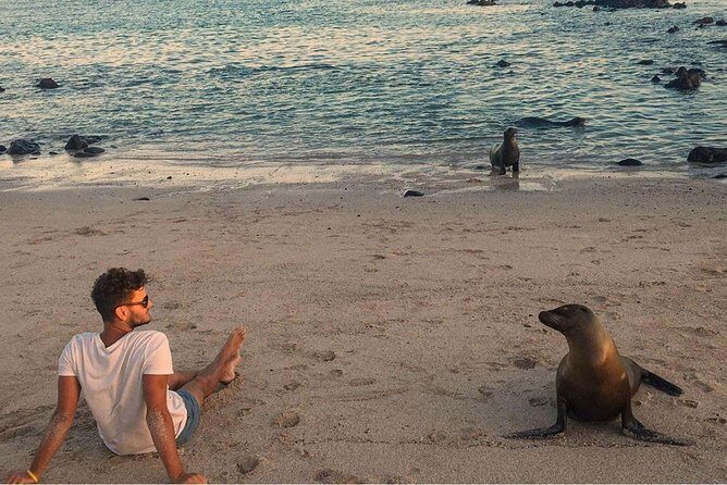 5-day Galapagos on a Budget Experience - Key Points