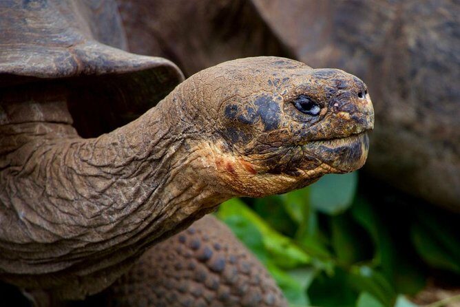 5-day Galapagos on a Budget Experience - FAQs
