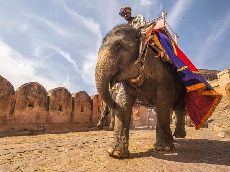 5-Day Golden Triangle Tour: Delhi, Agra & Jaipur - A Deep Dive into the 5-Day Golden Triangle Tour