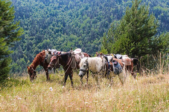 5-Day Horse Riding Tour in Caucasus - A Glimpse into the 5-Day Horse Riding Tour in the Caucasus