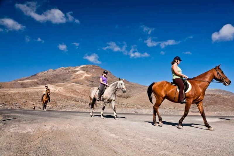 5-Day Horse Riding Tour in the Nuratau Mountains - Key Points