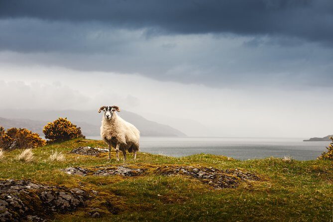 5-Day Iona, Mull and the Isle of Skye Small-Group Tour from Edinburgh - Who Would Love This Tour?