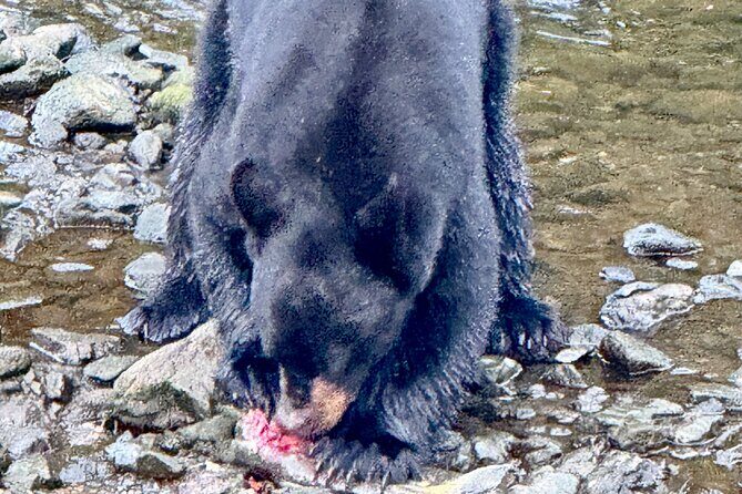 5 Day Jetski Expedition: Southeast Alaskan Adventure from Juneau - FAQ