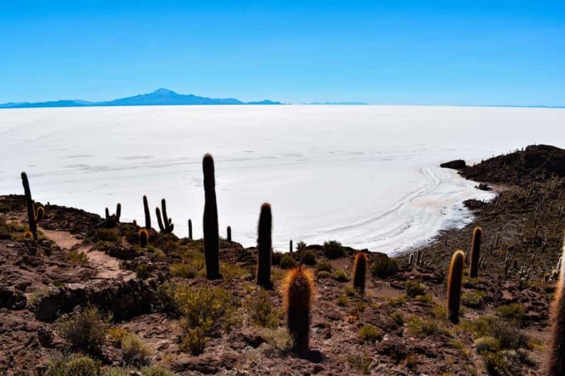 5-Day La Paz to Uyuni via Sajama - Small Group Overland Tour - Who This Tour Is Perfect For
