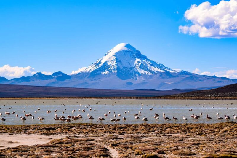 5-Day La Paz to Uyuni via Sajama - Small Group Overland Tour - Final Thoughts: Is It Worth It?