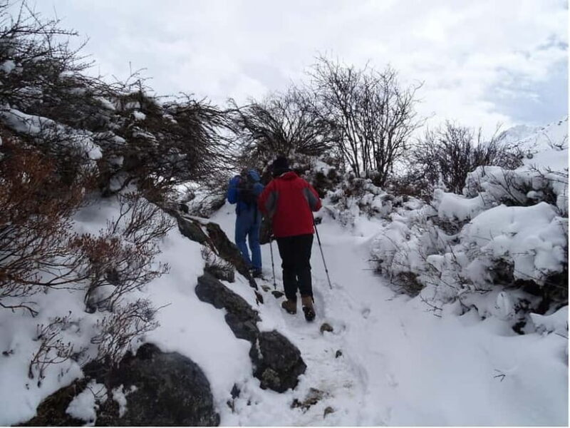 5 Day Langtang Valley Trek; Guide; Transport; permit - Why Choose This Trek?