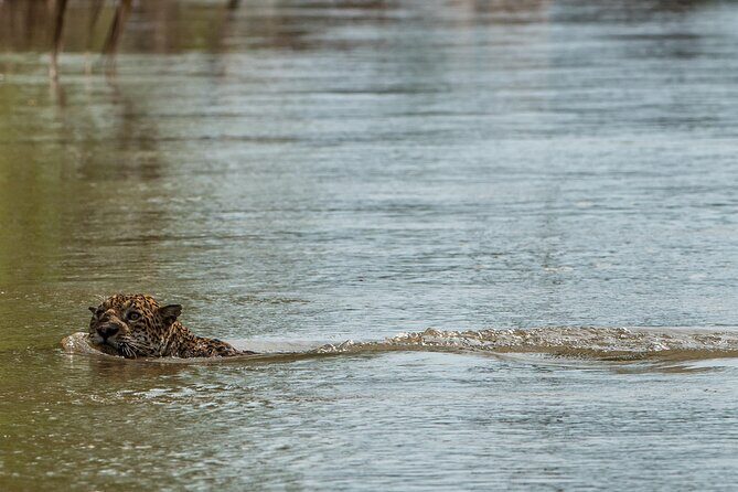 5-Day Manu Expedition . - Who Will Love This Tour?