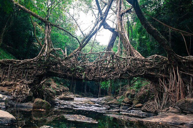 5-Day Private Tour in Meghalaya with Meals and Accommodation - An In-Depth Look at the 5-Day Meghalaya Tour