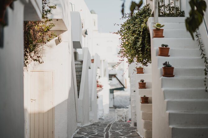 5 Day Private Tour in Paros, Mykonos & Delos Island - The Itinerary in Detail: What You Can Expect