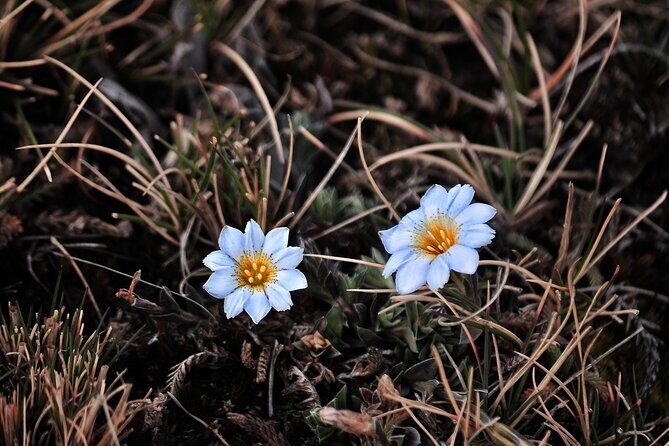 5 Day - Salkantay Trek - Final Thoughts