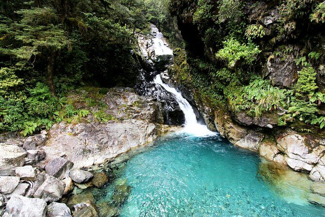 5 Day South Island New Zealand Private Tour from Dunedin - Who Would Love This Tour?