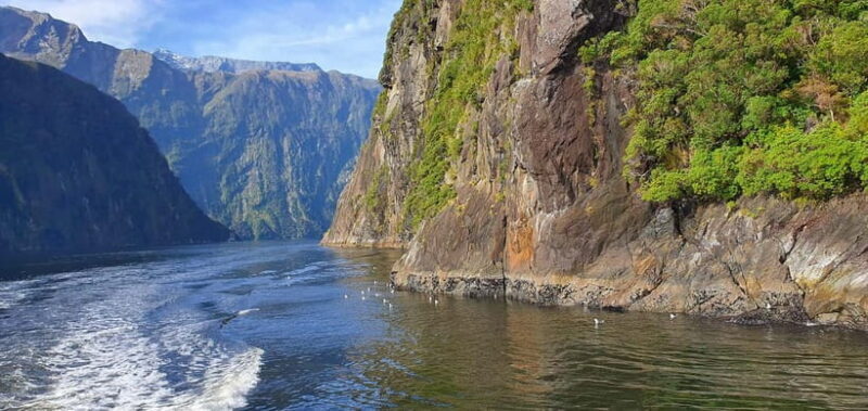 5 Day South Island NZ Tour from Dunedin to Christchurch - In The Sum Up