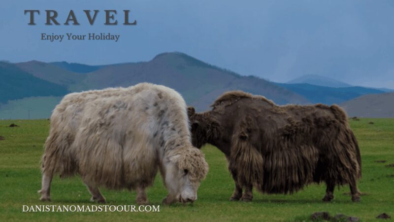 5 day /Terelj, Chinggis Khaan statue, Central Mongolia - Key Points