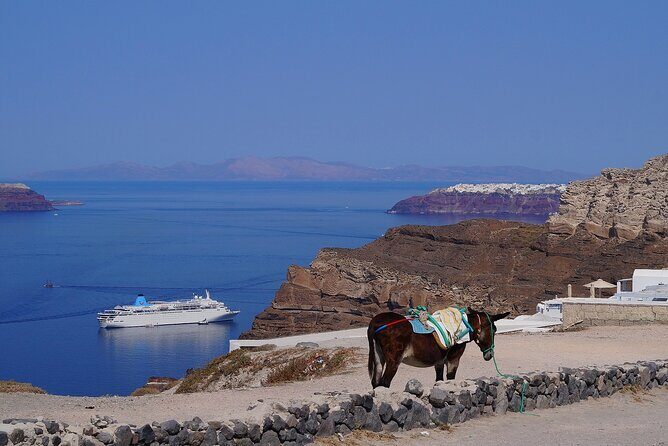 5 Day to Syros, Santorini a Cycladic Architecture Tour - A Deep Dive into the 5-Day Cycladic Architecture Tour
