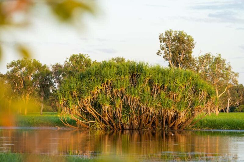 5 Day Top End Camping Tour - Experience the Best of Australia’s Top End in Five Days