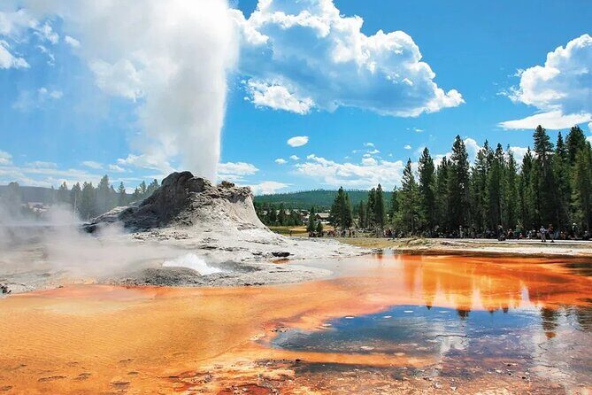5 Day Tour L. Angeles Las Vegas Yellowstone & Grand Teton from LA - Transportation and Group Size