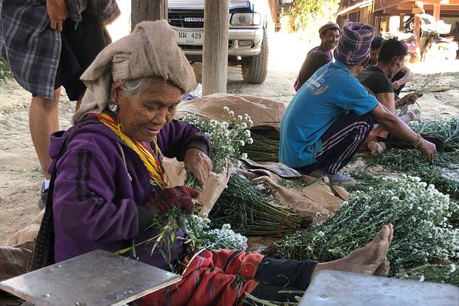 5 Day Tuk Tuk Adventure in Chiang Mai - with driver - Who Is This Tour Best For?