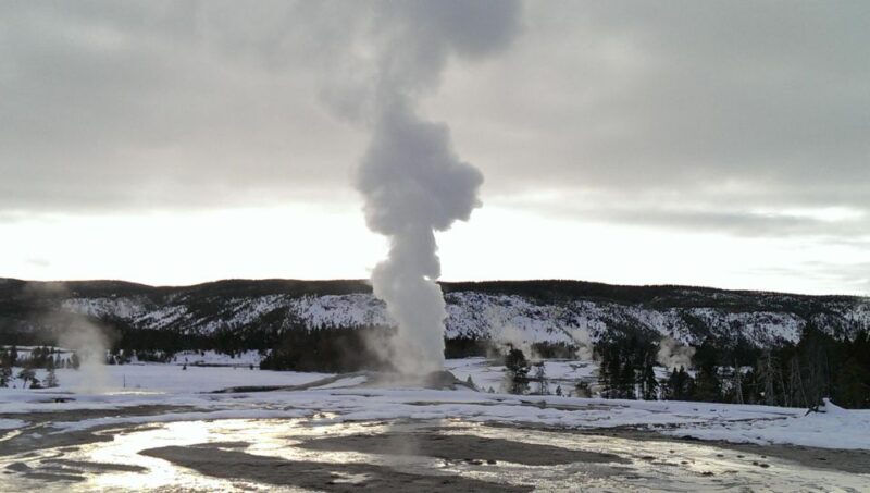 5-Day Winter Yellowstone Wildlife Tour - An In-Depth Look at the 5-Day Itinerary