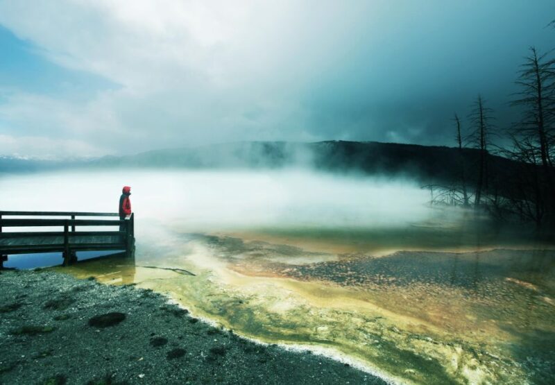 5-Day Winter Yellowstone Wildlife Tour - The Sum Up