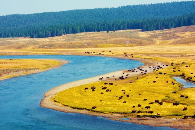 5-Day Winter Yellowstone Wildlife Tour - FAQ