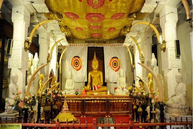 5 Days and 4 Nights Private Tour in Kandy Bentota and Colombo - Exploring the Heart of Sri Lanka: A Deep Dive into the Tour