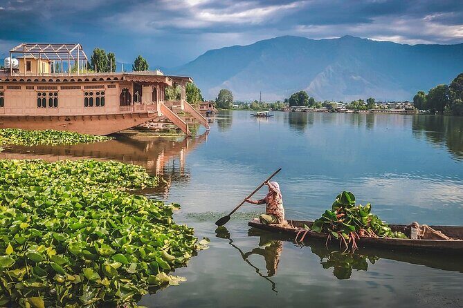 5 Days and 4 Nights Private Tour of Kashmir - An In-Depth Look at the Kashmir Experience