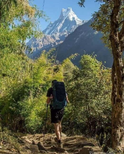 5 Days Annapurna Base Camp Trek - Exploring the 5-Day Annapurna Base Camp Trek