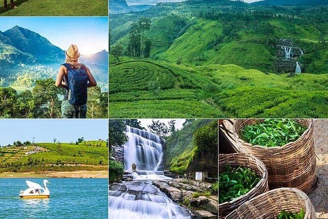 5 DAYS BUDGET TOUR package in Sri Lanka - Who Would Love This Tour?