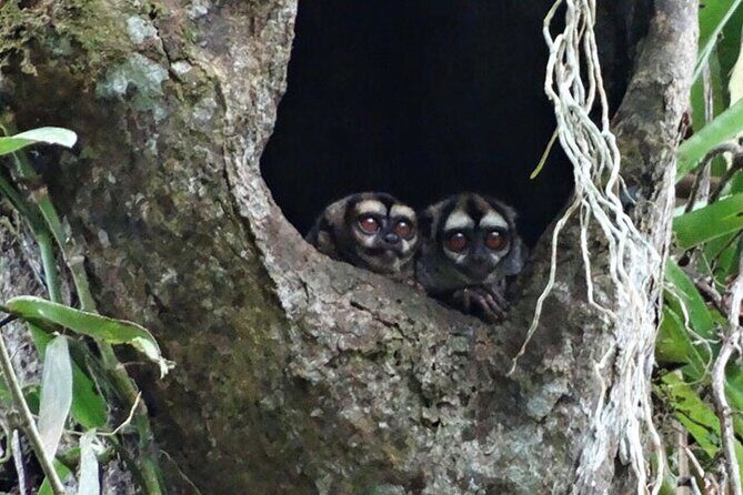 5 Days Cuyabeno Amazon Jungle with accommodation in Tucan Lodge - In The Sum Up