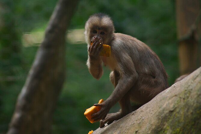 5 Days Cuyabeno Wildlife Reserve Adventure - FAQ